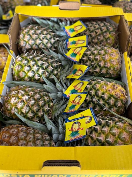 Ananas cotarika 300 mindan karobkasi 8 ta