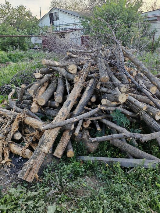 Продам сухие дрова, разных деревьев