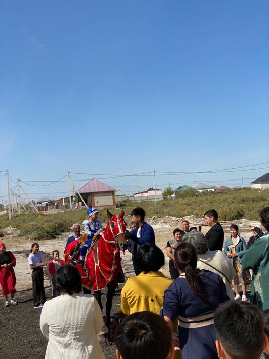 Сүндет той ға жылқы бар