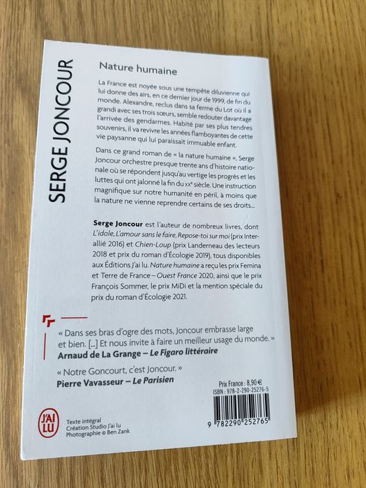 Романи на френски език