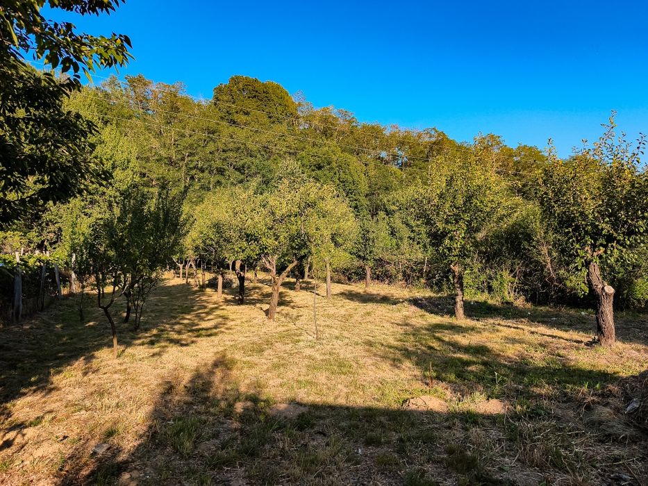 PROPRIETAR Vand casa P+1+M, Crasna, Jud. Gorj
