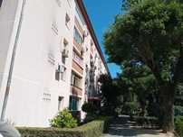 Apartament 3 camere cf 1 dec parter lângă creșă -grădiniță-școală