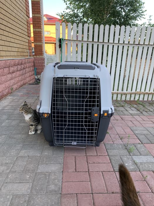 Переноска для перевоза собак