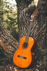 Уроки классической гитары онлайн