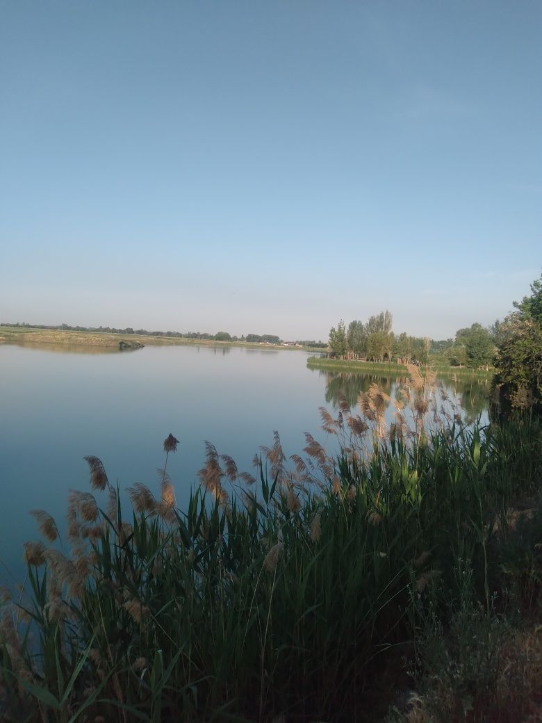 дача на берегу таш моря сдаётся по суточно. Только для семьи