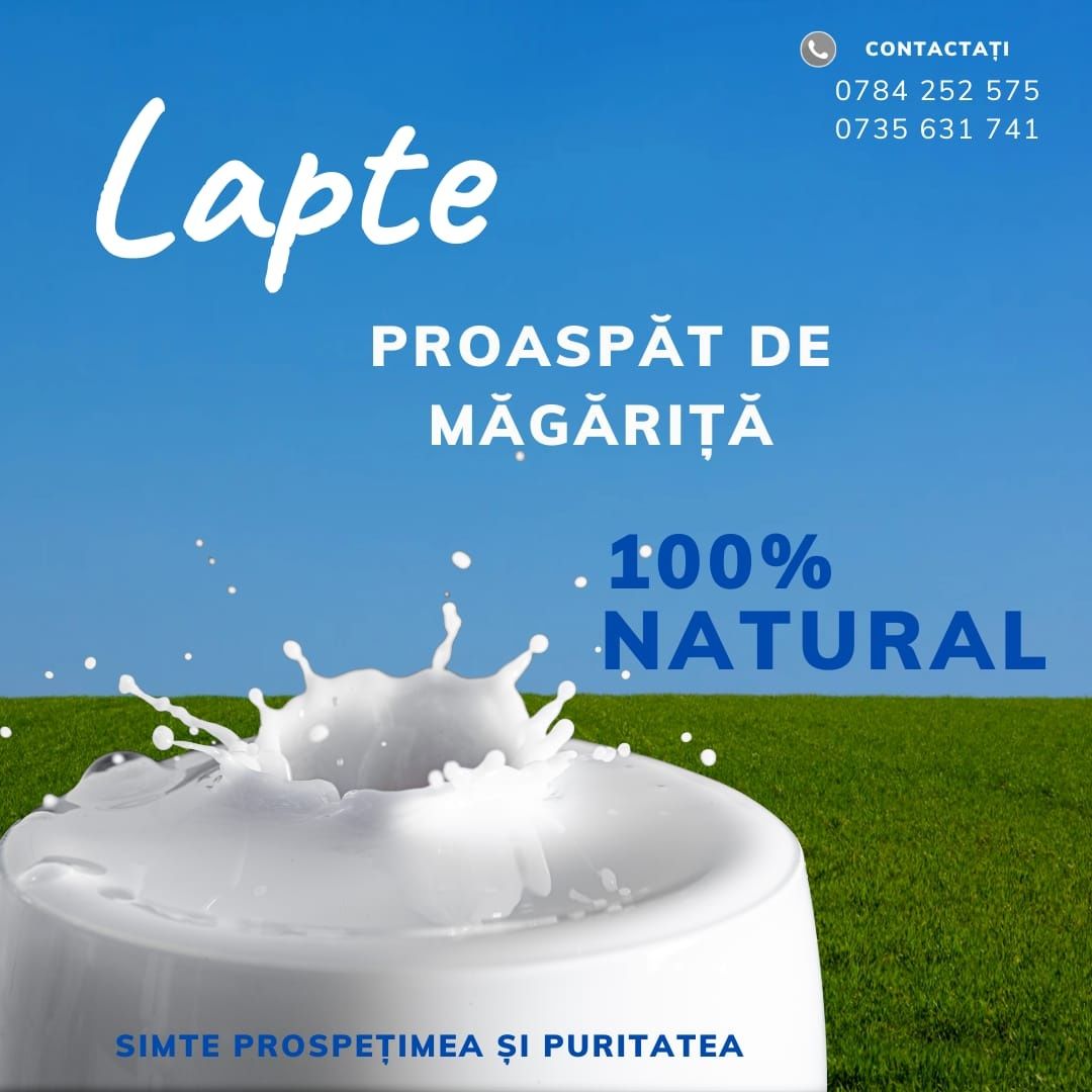 Lapte proaspat Magarita.