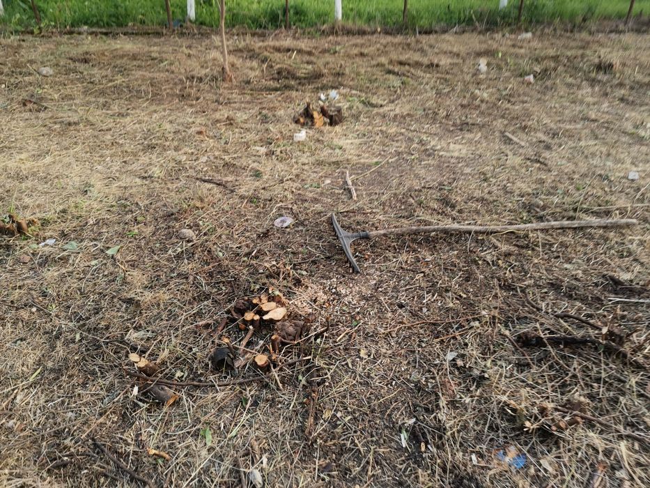 Servicii de curățare și defrișare teren de vegetație spontană... Etc.