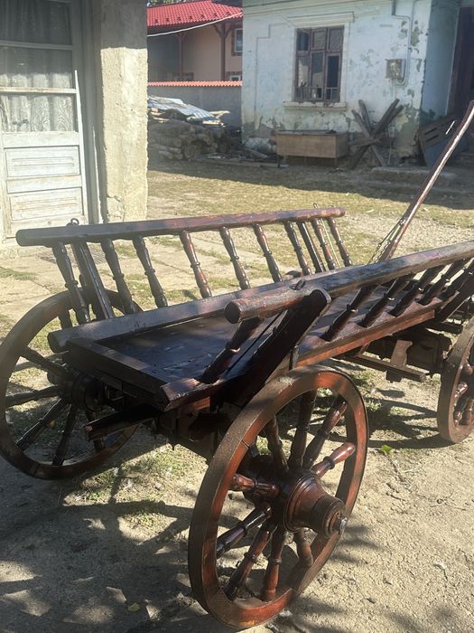 Caruta estetica (de frumusete)