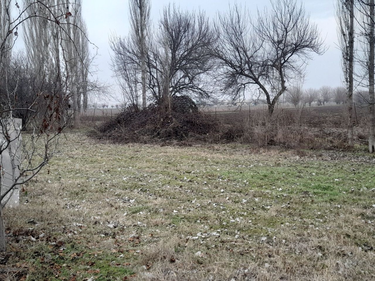 Uchaska sotiladi