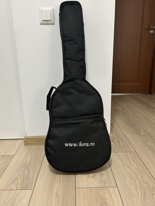 Chitara Hora Reghin Laura 3/4