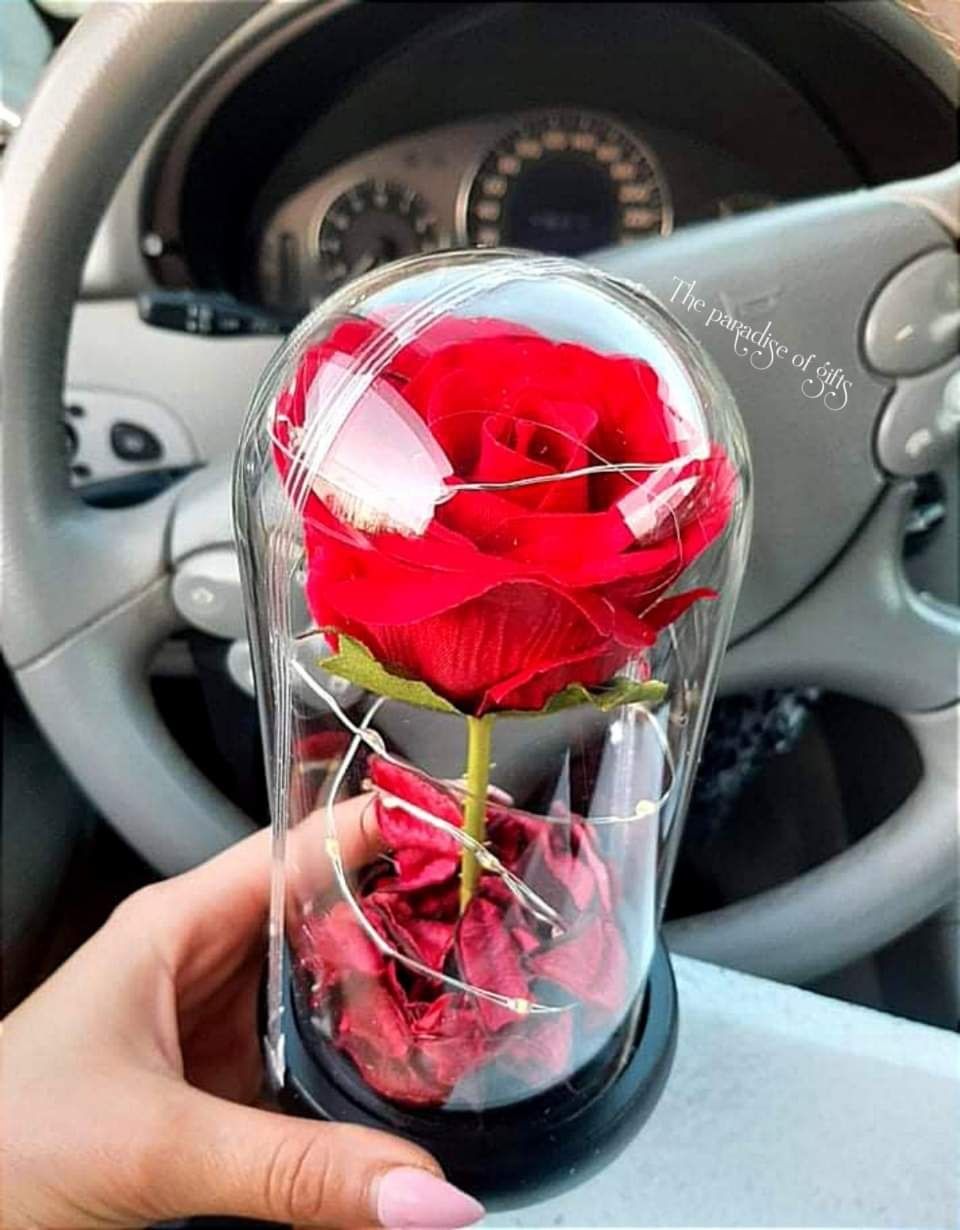Вечна роза в стъкленица с лампички