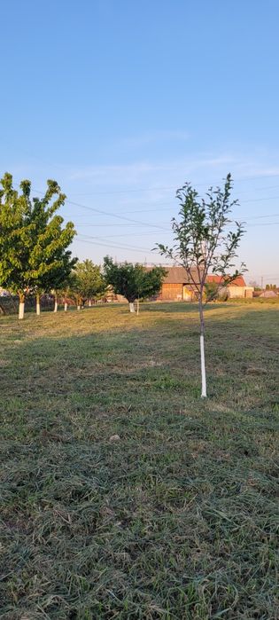 Vând casă + 3200  mp teren intravilan Cihei (500m de centura Oradea)