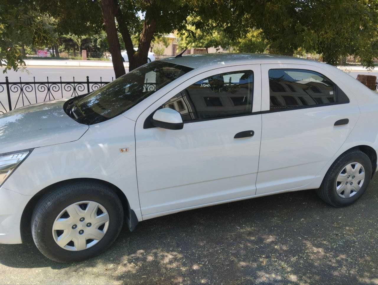 Kobalt sotiladi oq rang