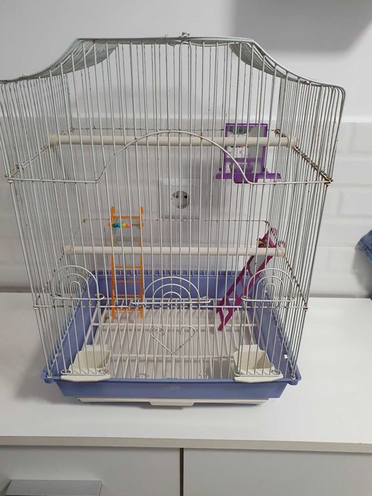 Cusca peruși, papagali