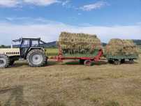 Tractor Lamborghini