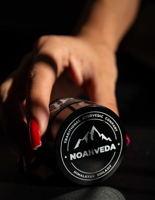 NoahVeda Shilajit