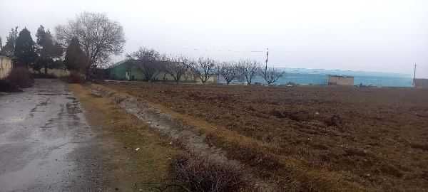 Sardor Farm Kelajagi Fermer xo`jaligi