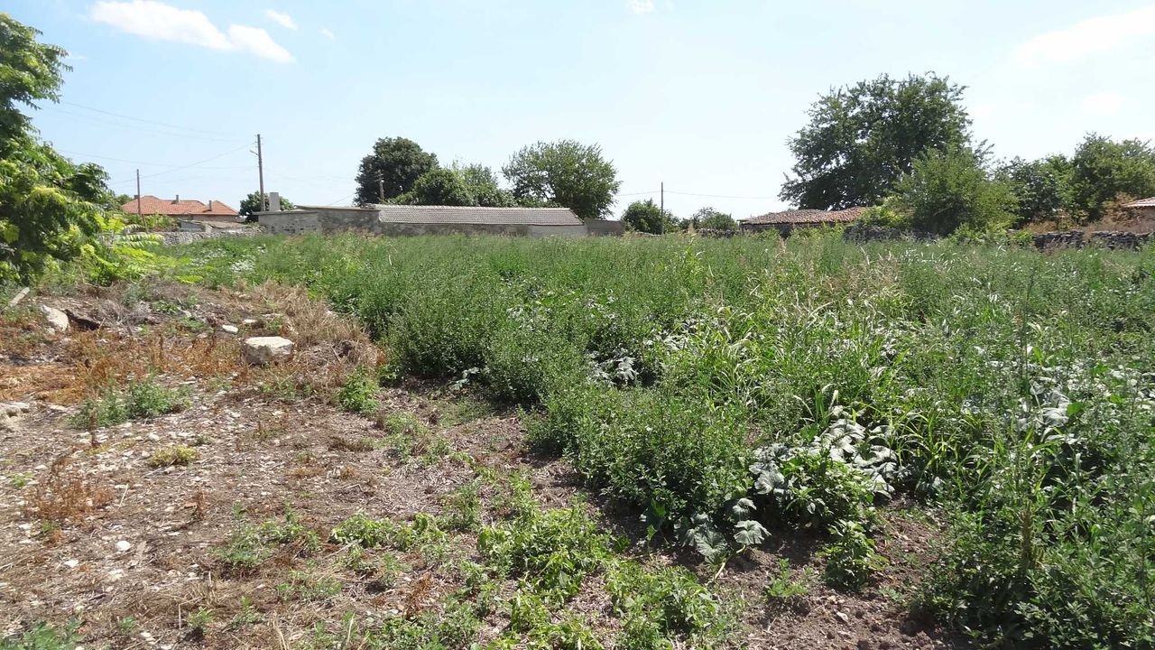 Продава се Парцел в с. Българево, Област Добрич - 2000 кв.м за 20 €/кв.м - Снимка #6