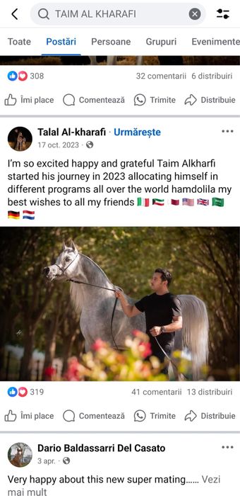 Manz pur sange arab cu pedigree!