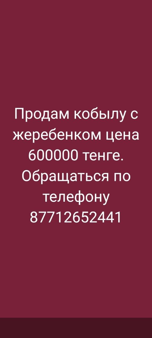 Продам кабылу жиребенком и байтал