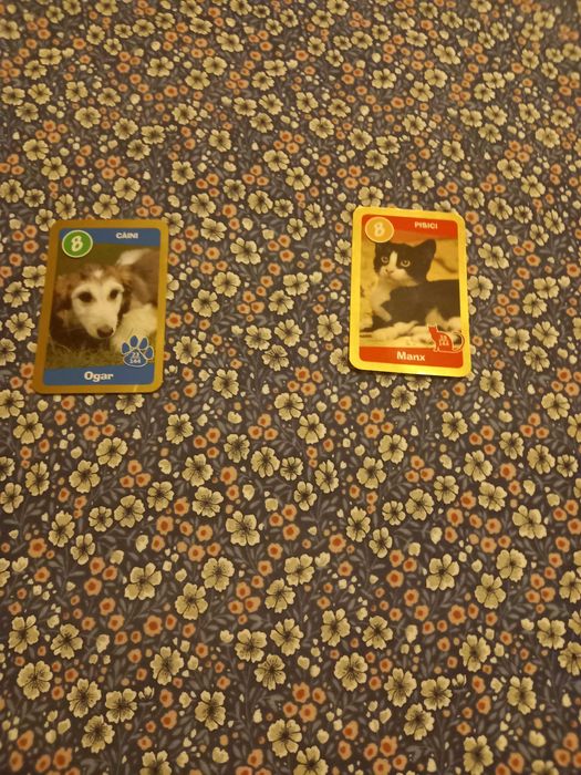 Gradinita de animale