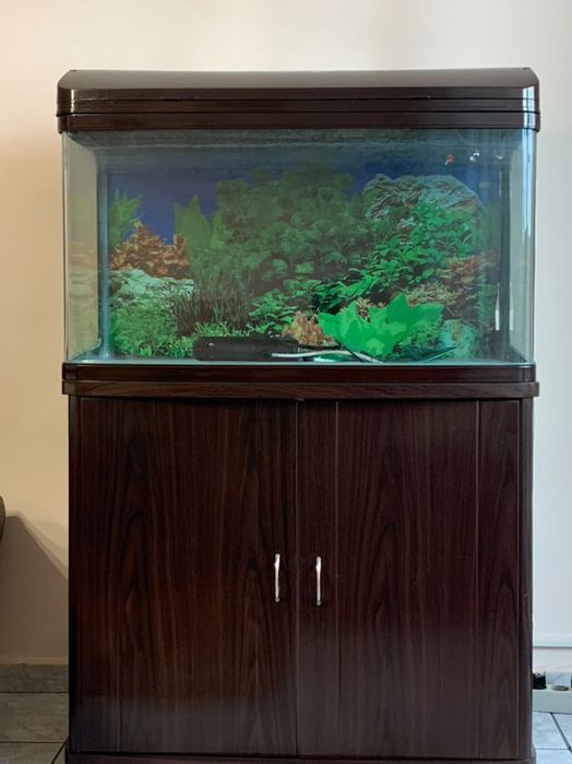 Аквариум с шкаф и помпа