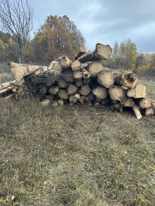 Vand Lemne de FOC ieftine