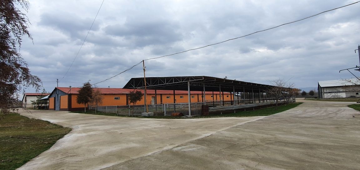 Продаётся огромная ферма
