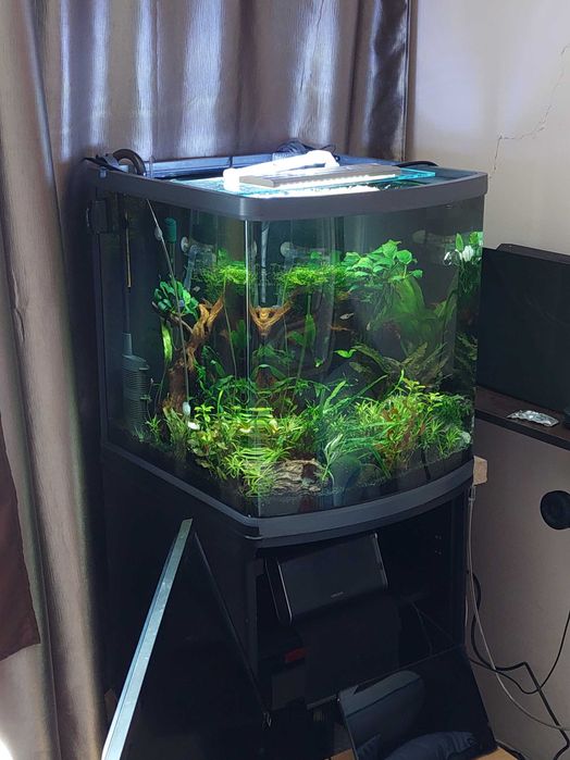 Acvariu 130l, cu pesti si cu suport
