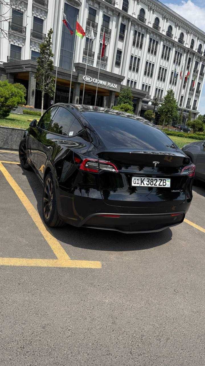 Tesla model Y standart