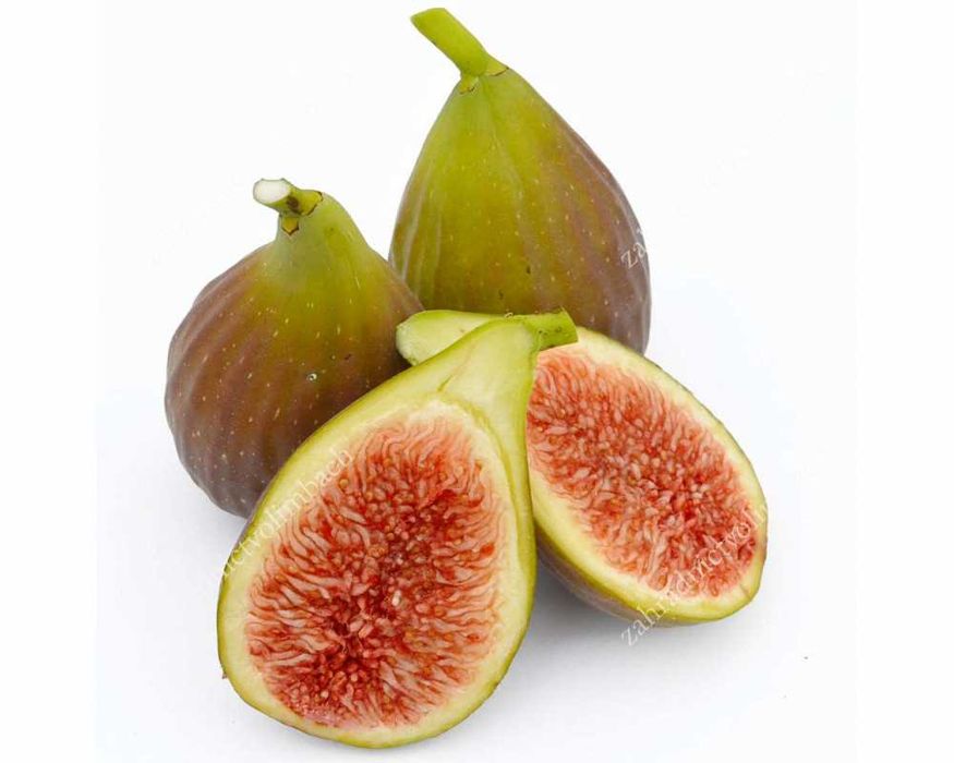 Smochin Dalmatie ( Ficus Carica Dalmatie) , ghiveci 2L, h 60 - 90cm