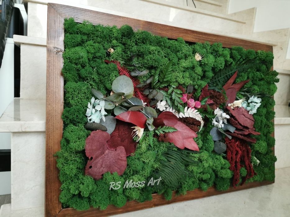 Tablou din licheni și plante criogenate