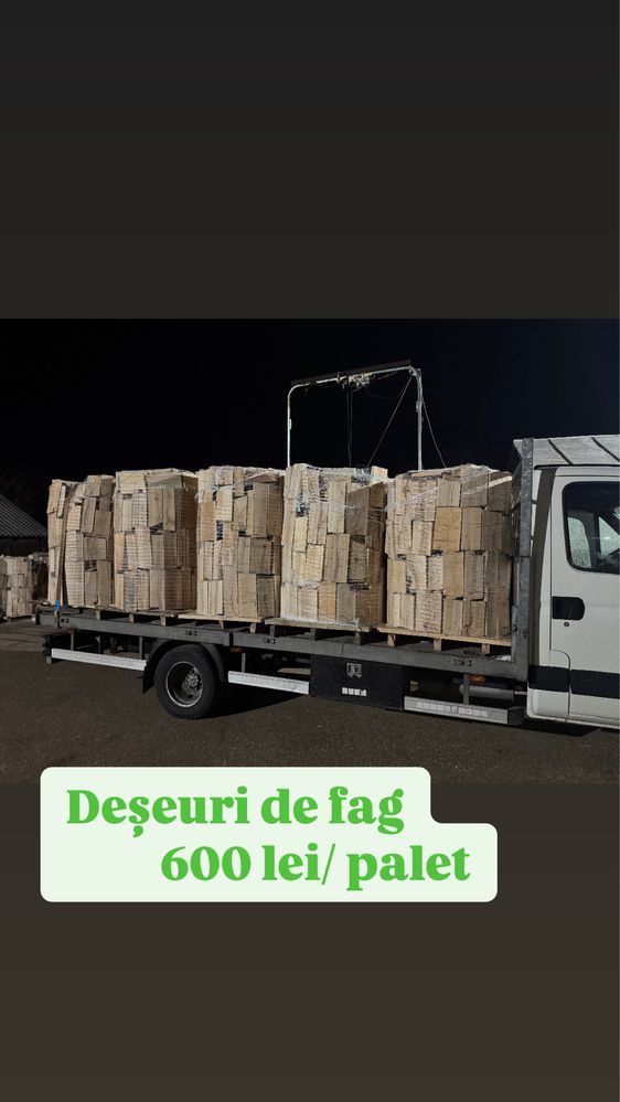 Lemne foc / deseuri de fag / dulap / laturoaie