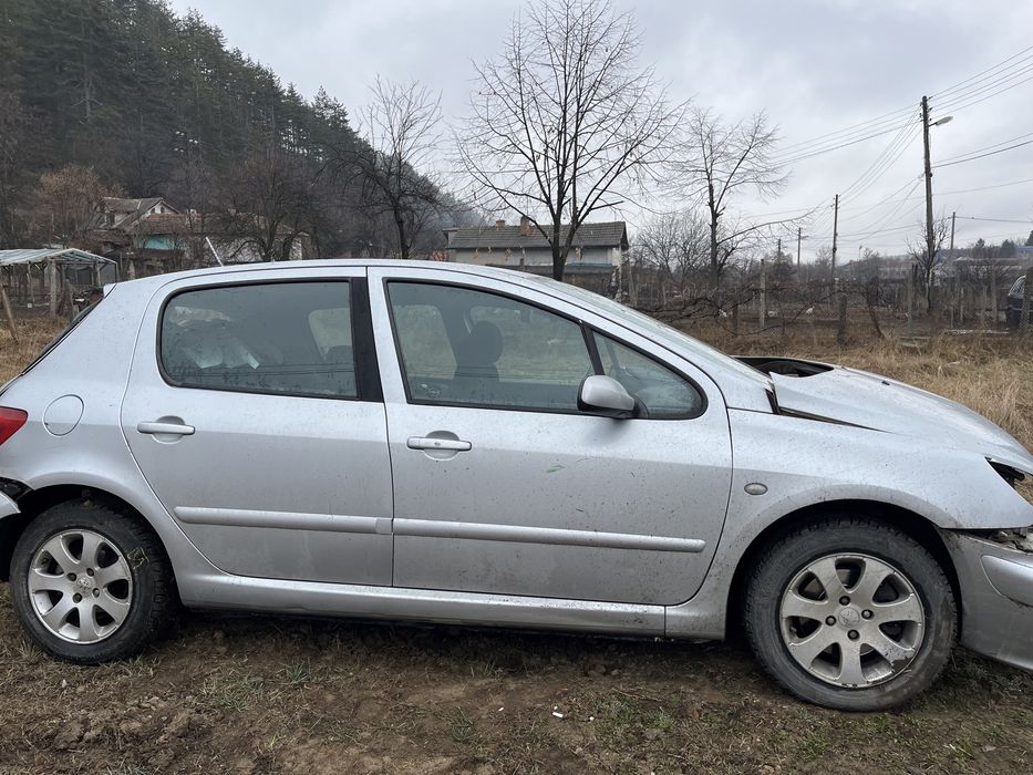 Кола на части Peugeot 307 1.6
