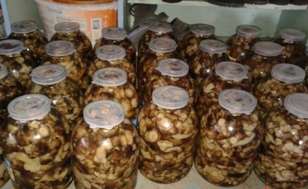 Продам соленые грибы