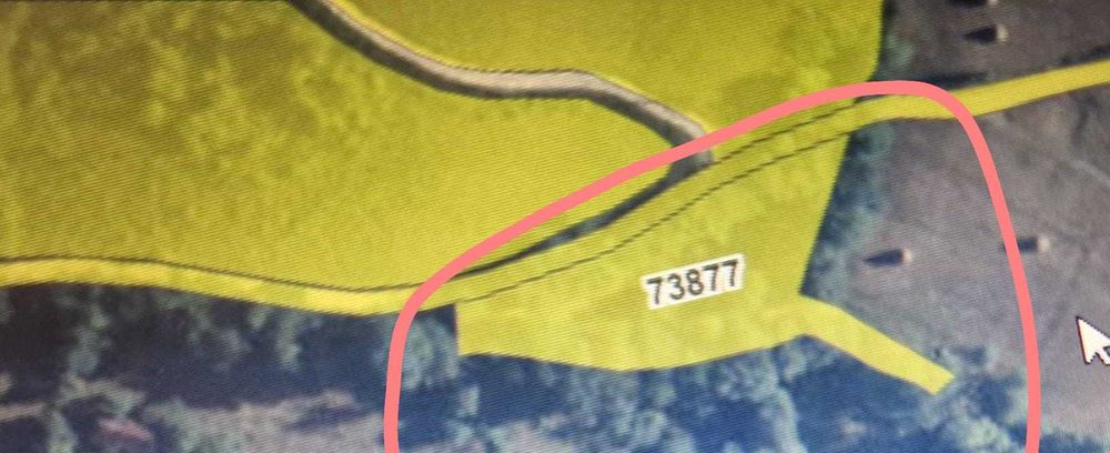 Vând teren intravilan in orașul  Câmpeni, județul ALBA