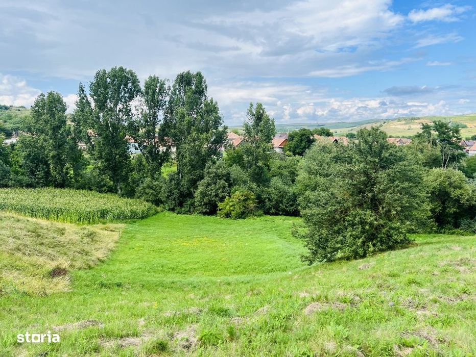 Investitie Teren intravilan 3000 mp intabulat in Corusu