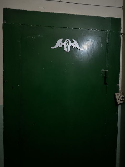 железная дверь бу