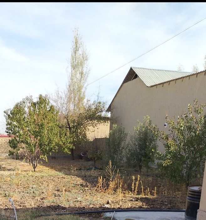 Hovli sotiladi mingchinorda 7 sotix