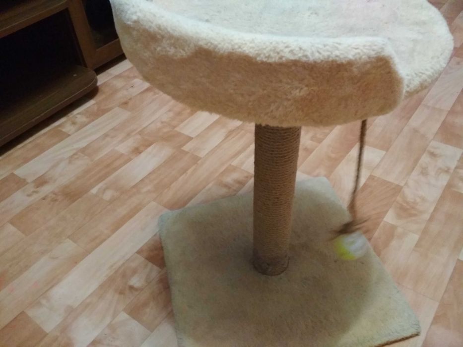 Для кошек коктеточка, с полкой!