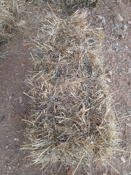 Baloti de paie, producție 2025