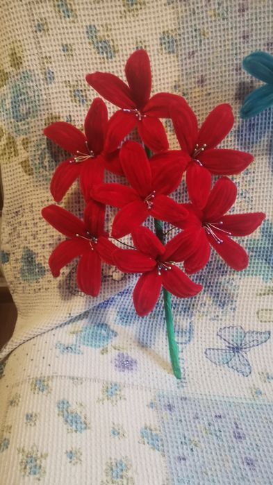 Sorcove diverse culori