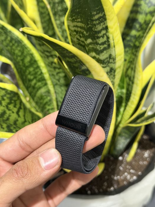 whoop4 оригинал два ремешок