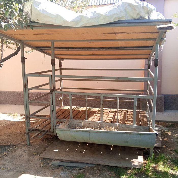 6 7 ta qoy siqadi