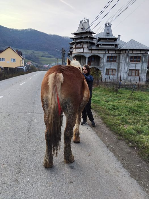 Vâd manz de un an și 5 luni