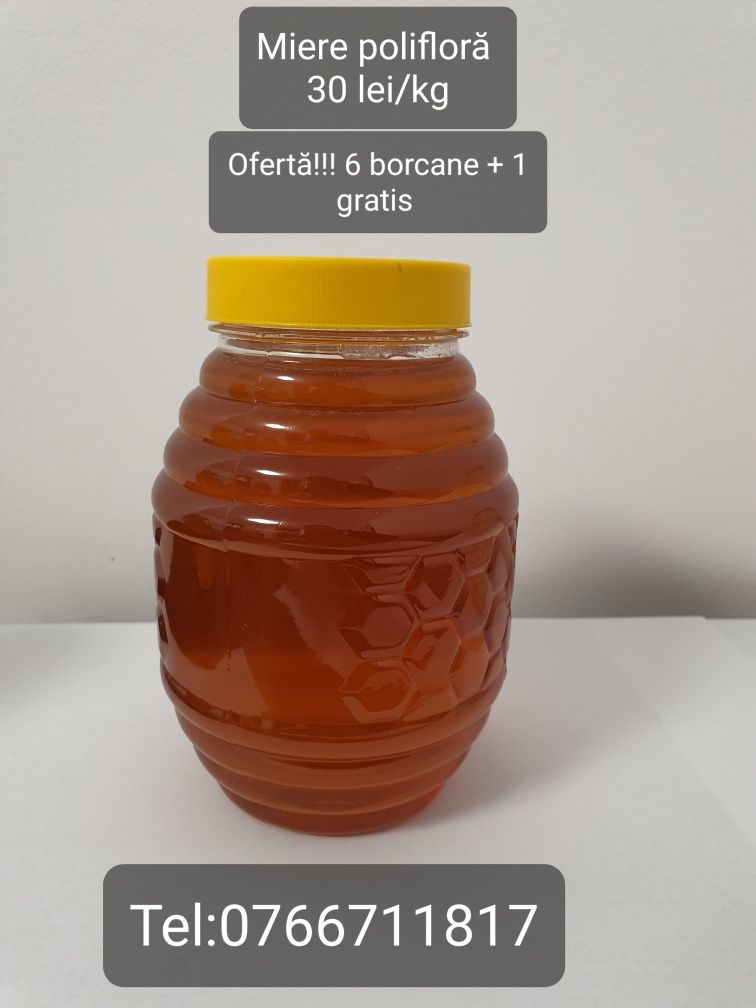 Vând miere de albine naturală OFERTĂ 6 borcane + 1 gratis !!!