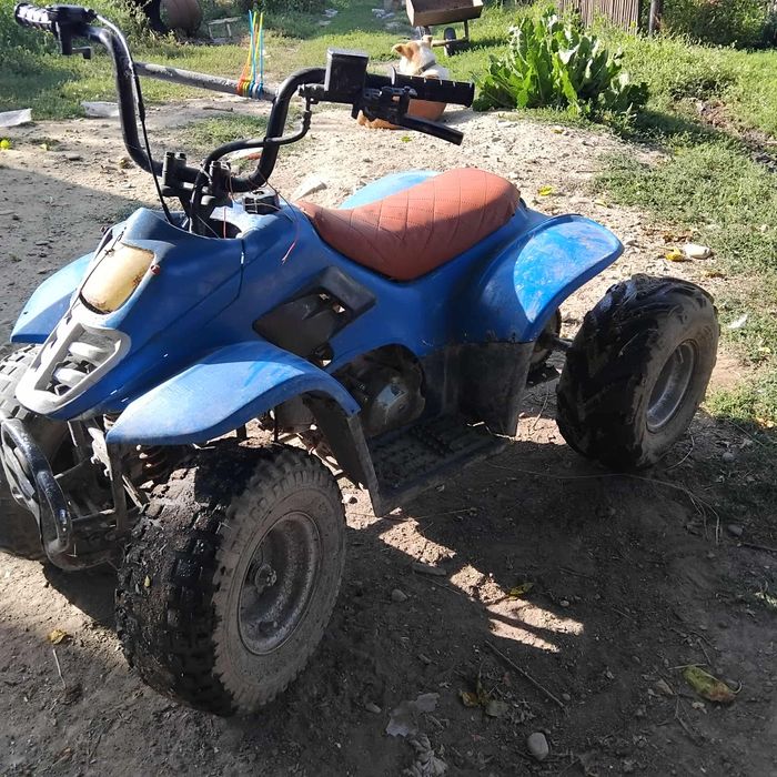 Atv 110cc preț negociabil 800 lei schimburi făcute la timp atv 110 ccc