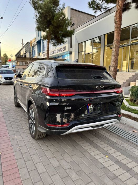 Byd chempion smart 2025/26