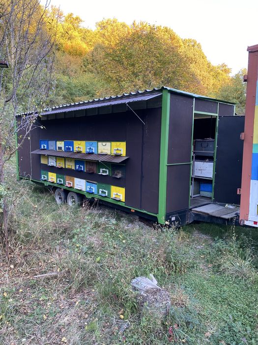 Vând remorcă apicolă, pavilion sau schimb cu auto/atv