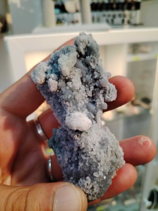 Гроздов ахат от Индонезия